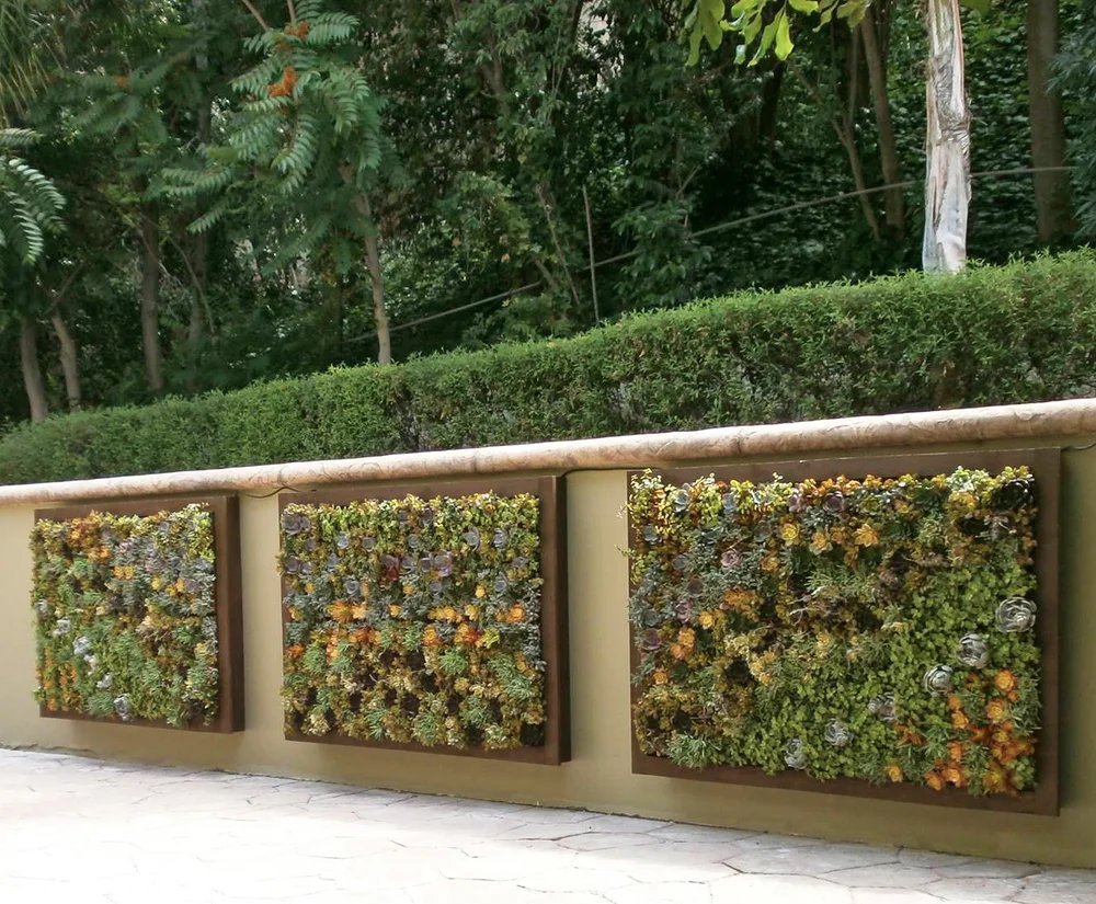 Custom succulent green wall installation with vertical planting panels