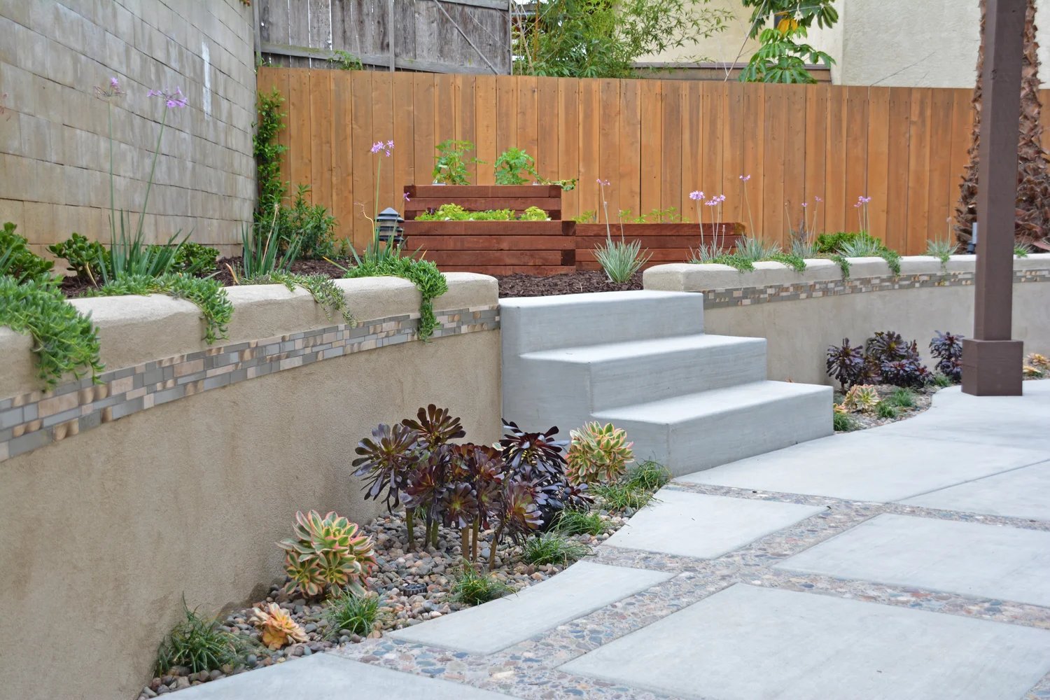Curved concrete retaining wall with mosaic tile cap, succulents, and custom concrete steps